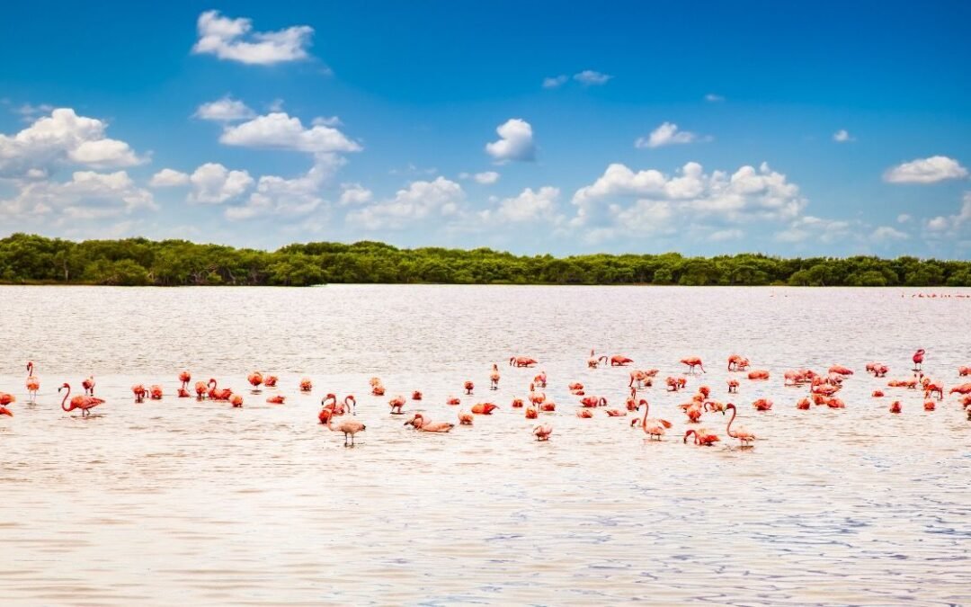 10 Scenic Small Towns To Visit On The Yucatán Peninsula